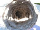 Dryer Flex Transition Hose with Lint Build Up